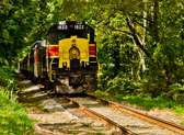Cuyahoga Valley Scenic Railway