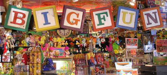 Big Fun Toy Store