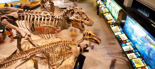 Houston Museum of Natural Science