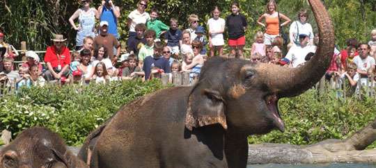 Cincinnati Zoo