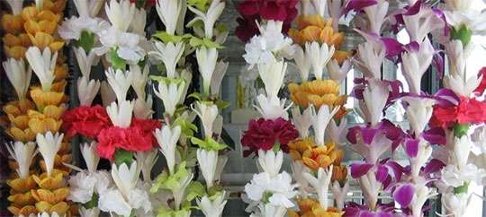 Cindy's Lei Shoppe