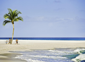 The Beach