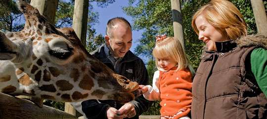 Riverbanks Zoo & Garden