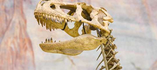 Utah Museum of Natural History