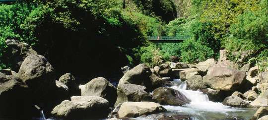 Iao Valley State Park