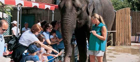 The Buffalo Zoo