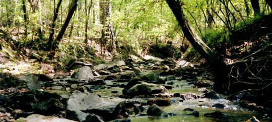 Harbison State Forest