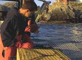 Fish with the Lobstermen
