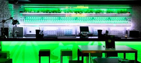 Mojito Lab