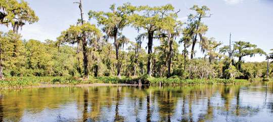 Wakulla Springs State Park