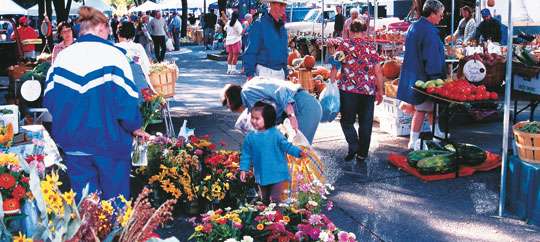 Lexington farmers mrkt