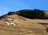 "M" Trail