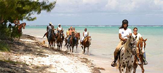Hooves Jamaica