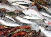 10th & M Seafoods