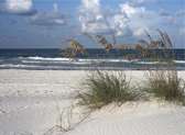 Fort Lauderdale Beach