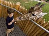 Detroit Zoo