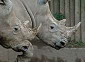 Seneca Park Zoo