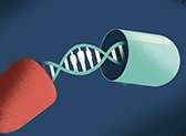 Biotechnology