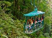 Rainforest Adventures