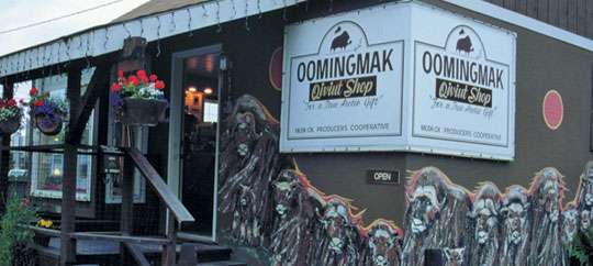 Oomingmak Musk Ox Producers Cooperative