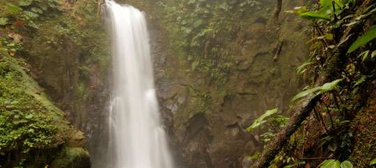 La Paz Waterfall Gardens Nature Park