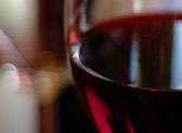 Crush Wine Bar