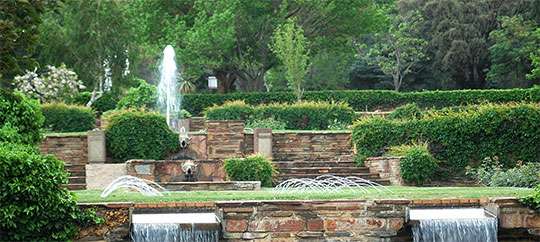 Botanic Garden 