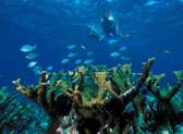 Biscayne National Park