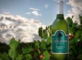 SeaBreeze Winery