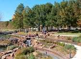 Myriad Botanical Gardens and Crystal Bridge Tropical Conservatory