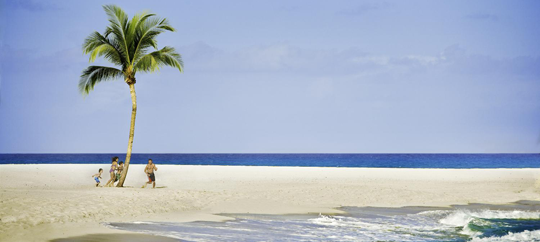 The Beach