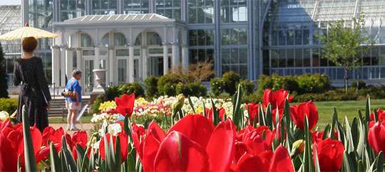 Lewis Ginter Botanical Garden, Richmond, Virginia