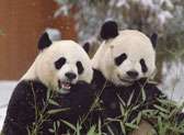 Smithsonian National Zoological Park