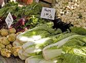 Dane County Farmers Market