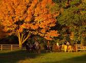 Five Rivers MetroParks