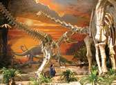 New Mexico Museum of Natural History and Science