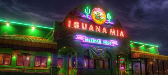 Iguana Mia