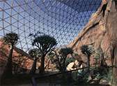 Desert Dome