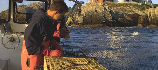 Fish with the Lobstermen