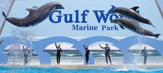 Gulf World Marine Park