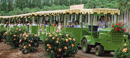 Maui Tropical Plantation