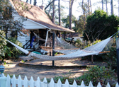The Original Hammock Shop