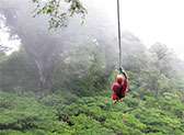 Jamaica Zipline Adventure Tours