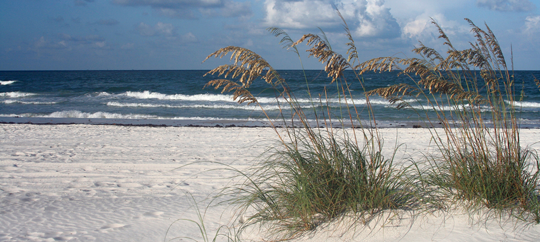 Broadway on the Beach