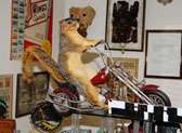 Carr’s One of a Kind in the World Museum