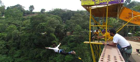 Tropical Bungee
