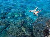 Snorkeling in Kailua Pier
