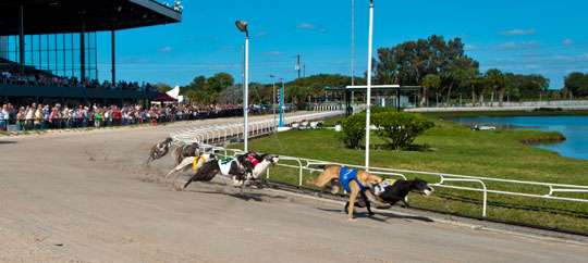 Sarasota Kennel Club