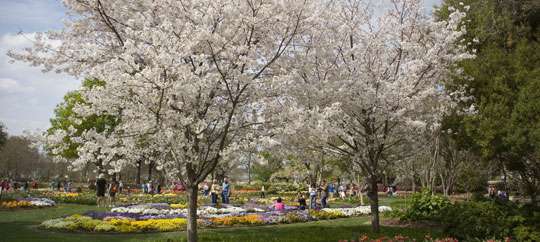 Dallas Arboretum