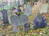 Hollywood Cemetery
